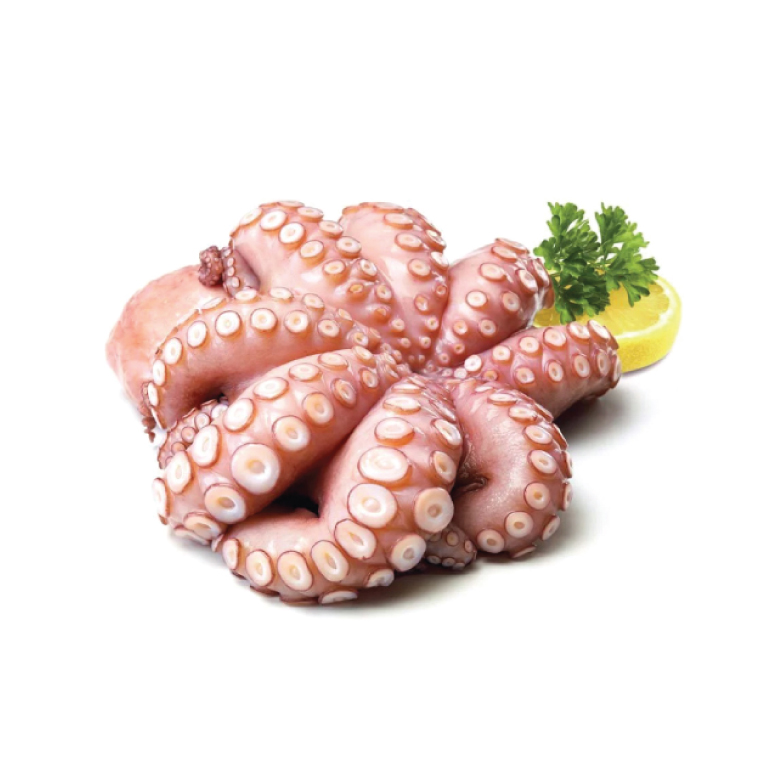 New Zealand Whole Octopus
